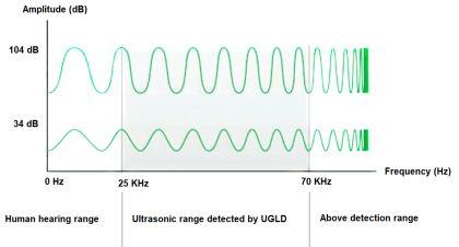 ultrasound